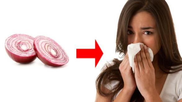 Ley de los semejantes y la homeopatía