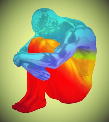 Enfermedades crónicas miasmáticas