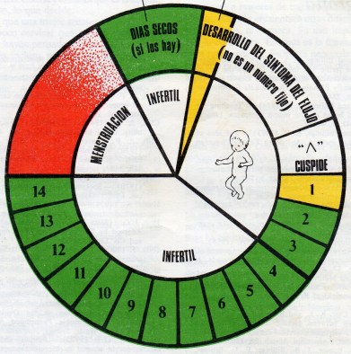 Ciclo del flujo cervical